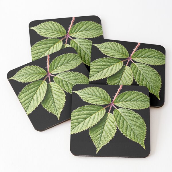 Item preview, Bramble, the Green Star That Guards the Hedge designed and sold by Roland Keates aka Lost Histories .
