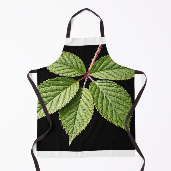 Item preview, Bramble, the Green Star That Guards the Hedge designed and sold by Roland Keates aka Lost Histories .