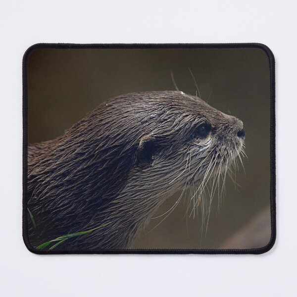 Item preview, Otter profile designed and sold by T. Kaiser.