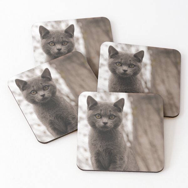 Item preview, Balanced guarding of a cat designed and sold by T. Kaiser.