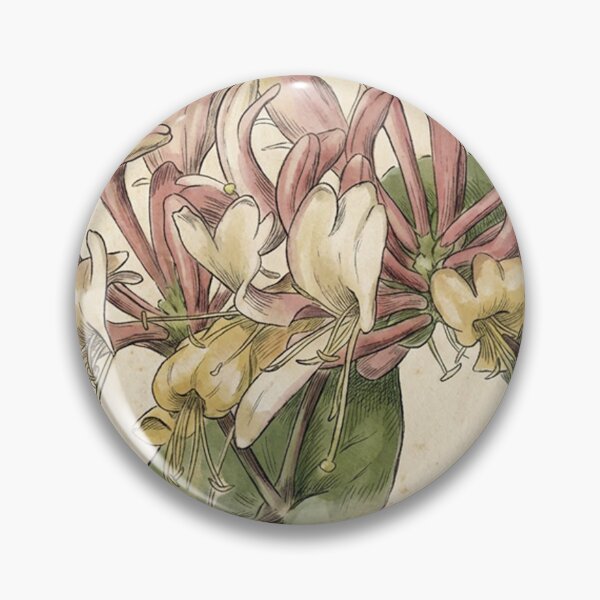 Item preview, Victorian Honeysuckle: Lonicera Periclymenum Botanical Study designed and sold by VistaPainterArt.