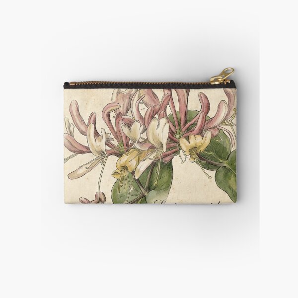 Item preview, Victorian Honeysuckle: Lonicera Periclymenum Botanical Study designed and sold by VistaPainterArt.