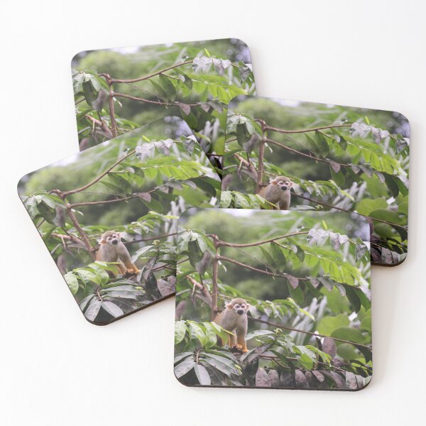 Item preview, Squirrel monkey in lush jungle designed and sold by T. Kaiser.