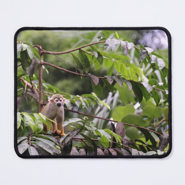 Item preview, Squirrel monkey in lush jungle designed and sold by T. Kaiser.