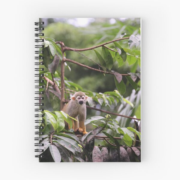 Item preview, Squirrel monkey in lush jungle designed and sold by T. Kaiser.