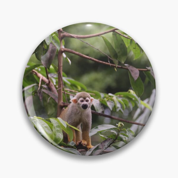 Item preview, Squirrel monkey in lush jungle designed and sold by T. Kaiser.