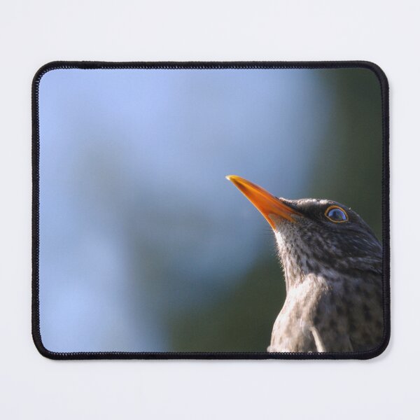 Item preview, Upward view designed and sold by T. Kaiser.