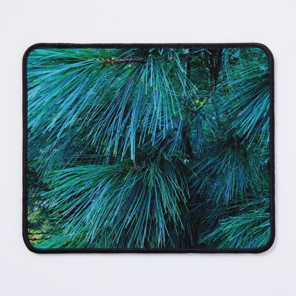 Item preview, Blue spruce, pine green, conifer | rustic cabin decor designed and sold by hollycooper.