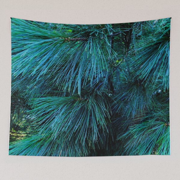 Item preview, Blue spruce, pine green, conifer | rustic cabin decor designed and sold by hollycooper.