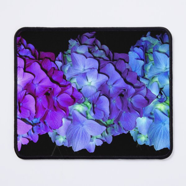 Item preview, purple pink hydrangeas | Periwinkle blue hydrangea | teal hydrangeas | Romantic blue floral | elegant pink floral | pretty purple floral designed and sold by hollycooper.