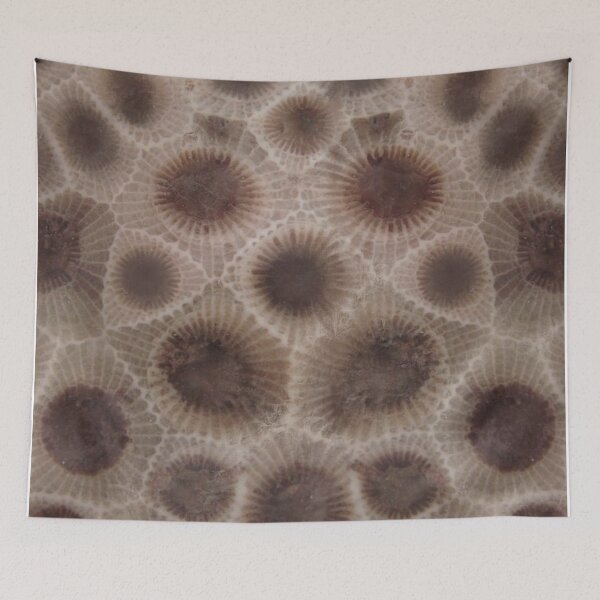 Item preview, Petoskey stone pattern, I heart the Great Lakes, smitten with the mitten designed and sold by hollycooper.