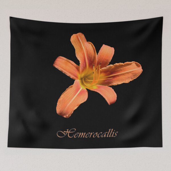 Item preview, Hemerocallis lily blossom: Beautiful orange flower designed and sold by JazzAnny Creative.