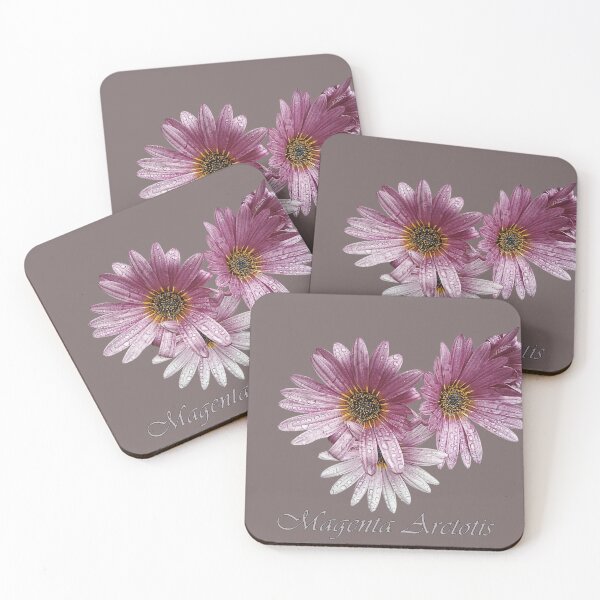 Item preview, Magenta Arctotis Macro – Pink Flower Photography from Madeira designed and sold by JazzAnny Creative.