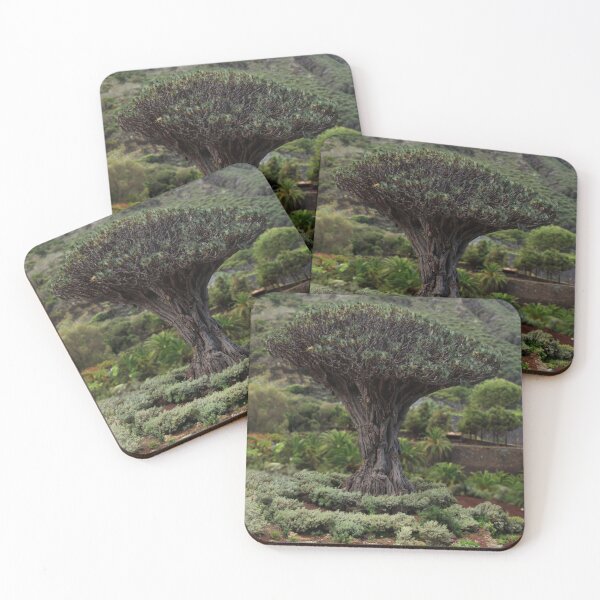 Item preview, Dragon Tree El Drago Millenario Tenerife designed and sold by JazzAnny Creative.