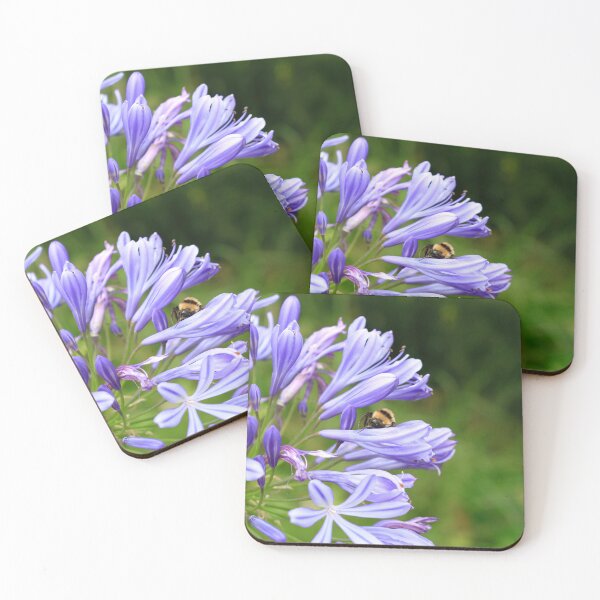 Aperçu de l'œuvre Macro d'abeille sur le lys africain violet Agapanthus Madeira créée et vendue par JazzAnny Creative.