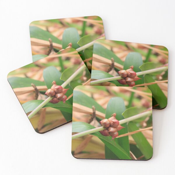 Item preview, Madeira Macro of Bugle Lily designed and sold by JazzAnny Creative.