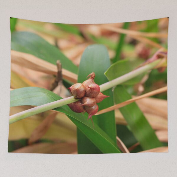 Item preview, Madeira Macro of Bugle Lily designed and sold by JazzAnny Creative.