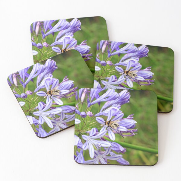 Item preview, Bee on Purple Lily Agapanthus designed and sold by JazzAnny Creative.