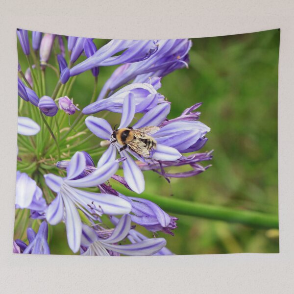 Item preview, Bee on Purple Lily Agapanthus designed and sold by JazzAnny Creative.