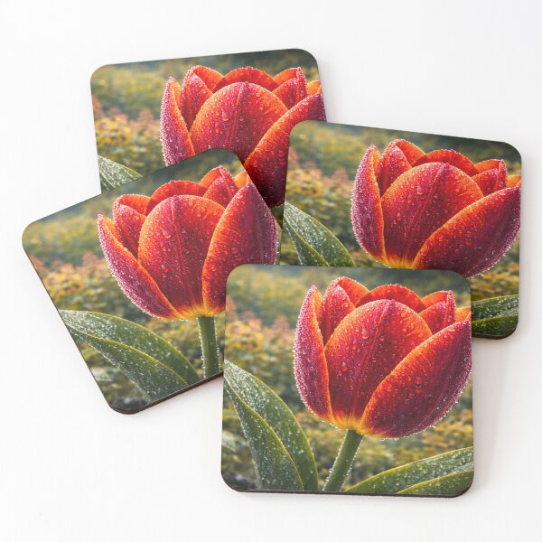 Item preview, Crimson Dew Tulip designed and sold by SpicyWind.