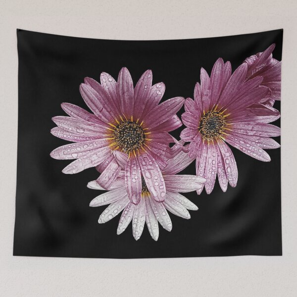 Item preview, Flower Arctotis Magenta Pink Flower designed and sold by JazzAnny Creative.