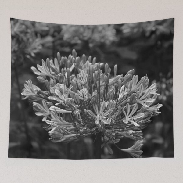 Item preview, Agapanthus Lily Black and White: Macro photograph designed and sold by JazzAnny Creative.