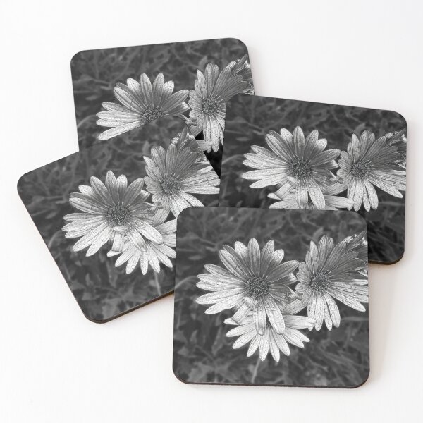 Item preview, Black and White Arctotis Macro – Timeless Flower Photography from Madeira designed and sold by JazzAnny Creative.