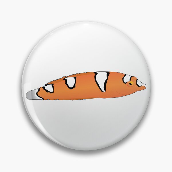 Item preview, Juvenile Yellowtail Coris Wrasse designed and sold by Mark Rosenstein.
