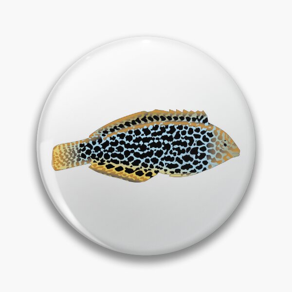 Item preview, Leopard Wrasse designed and sold by Mark Rosenstein.