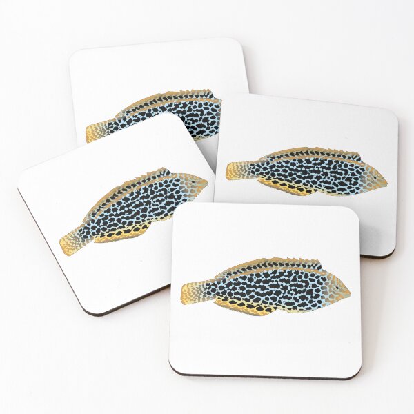Item preview, Leopard Wrasse designed and sold by Mark Rosenstein.