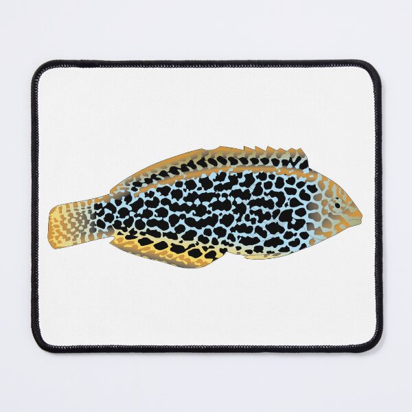 Item preview, Leopard Wrasse designed and sold by Mark Rosenstein.