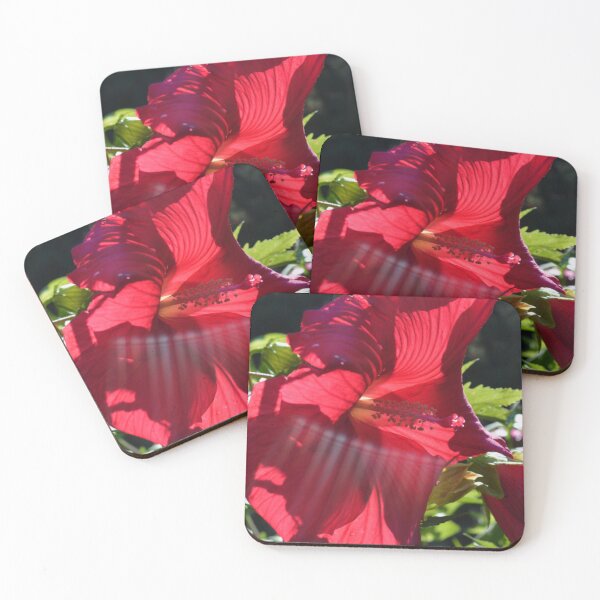 Item preview, Enchanting Red hibiscus Photo, red tropical floral  designed and sold by hollycooper.