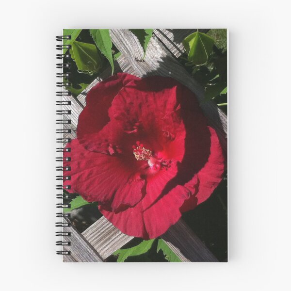 Item preview, Cottage classic Red hibiscus and backyard lattice designed and sold by hollycooper.