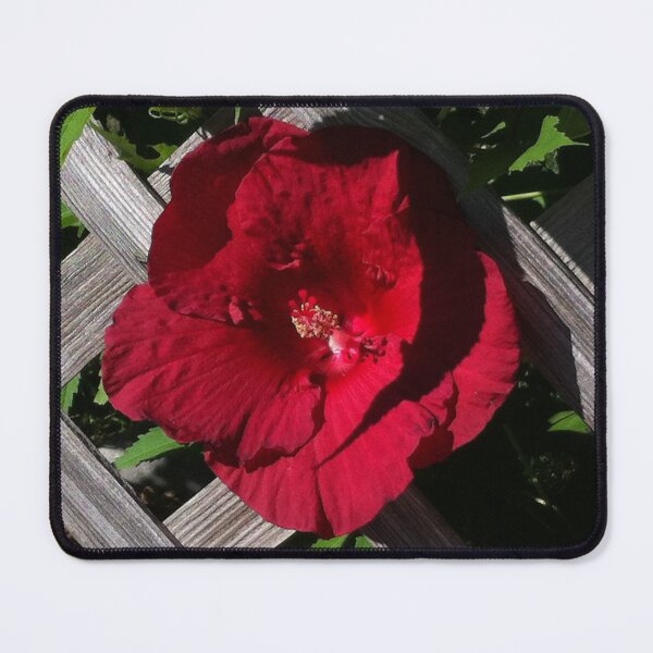Item preview, Cottage classic Red hibiscus and backyard lattice designed and sold by hollycooper.