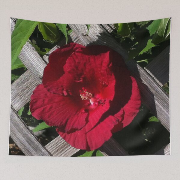 Item preview, Cottage classic Red hibiscus and backyard lattice designed and sold by hollycooper.