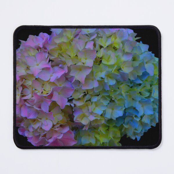 Item preview, Purple hydrangeas, pink hydrangeas, blue hydrangeas, green hydrangeas designed and sold by hollycooper.