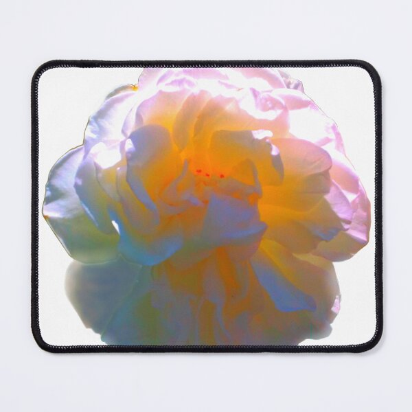 Item preview, Morning glow rose- white rose, pink rose, apricot rose, yellow rose, orange rose and purple rose photo  designed and sold by hollycooper.