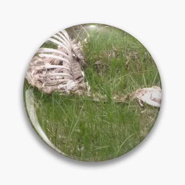 Item preview, Deer or....dinosaur skeleton?? designed and sold by JamRosieDesigns.