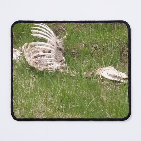 Item preview, Deer or....dinosaur skeleton?? designed and sold by JamRosieDesigns.