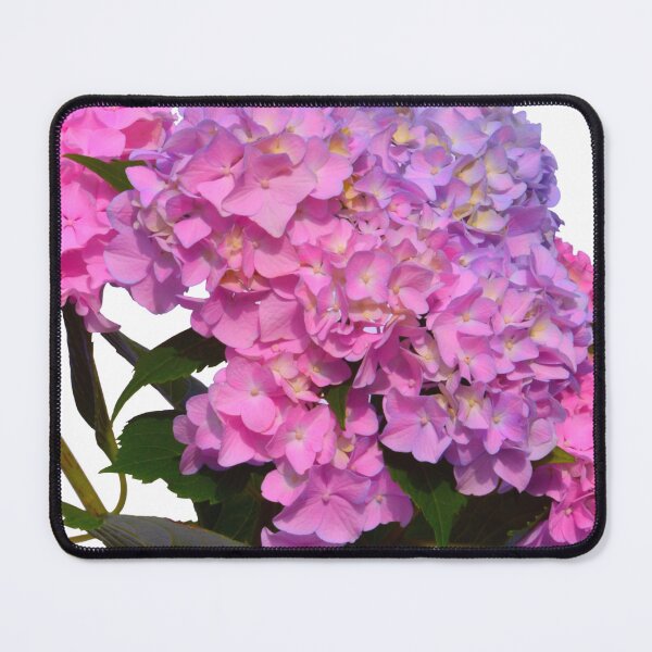 Item preview, Pink and purple hydrangeas in crystal vase designed and sold by hollycooper.