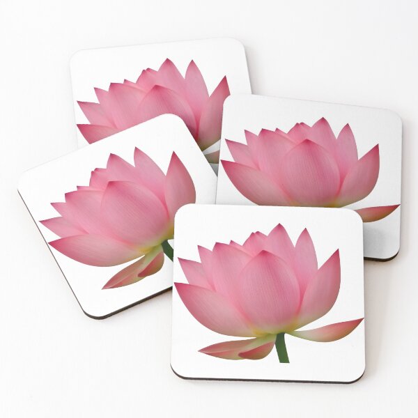 Item preview, Pink Lotus Flower  designed and sold by FloristLove11.