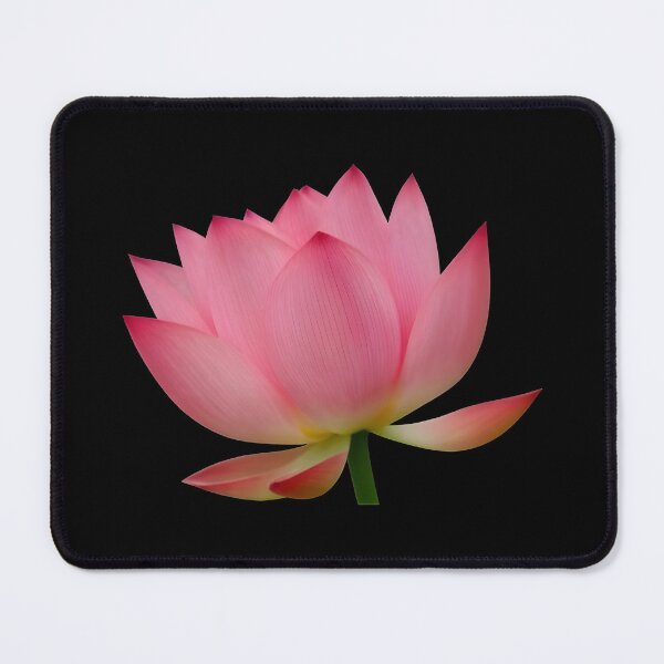 Item preview, Pink Lotus Flower designed and sold by FloristLove11.
