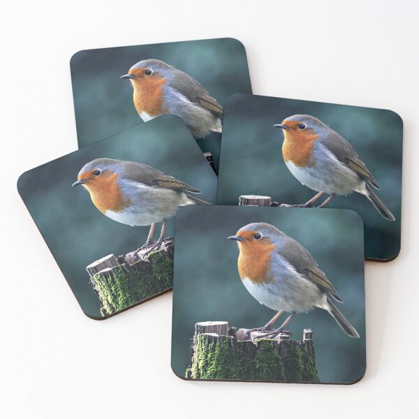 Item preview, Robin Redbreast designed and sold by Tom McPherson Photography.