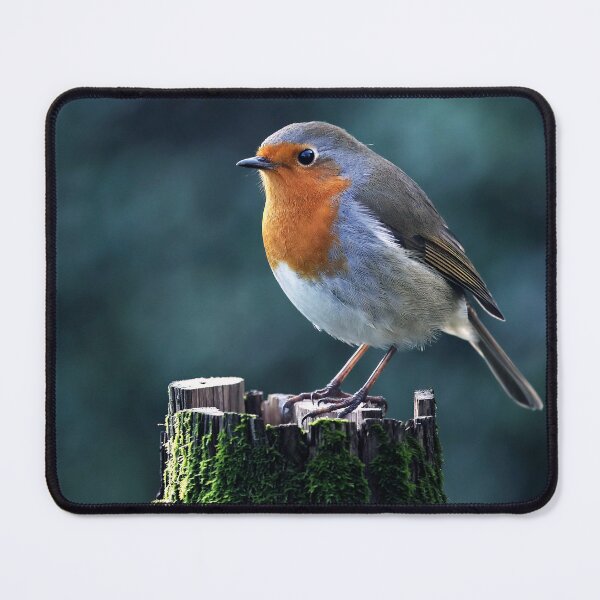 Item preview, Robin Redbreast designed and sold by Tom McPherson Photography.