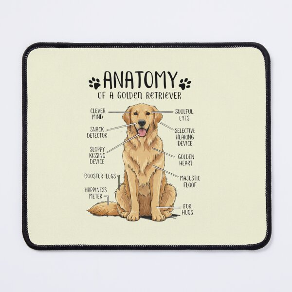 Item preview, Anatomy of a Golden Retriever Funny Dog Lover Gift Shirt designed and sold by Odd Culture Supply.