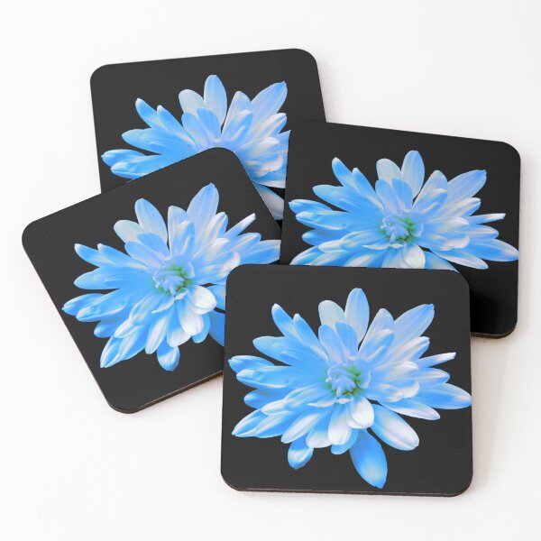 Item preview, Retro Blue zinnia daisy blue chrysanthemum  romantic blue floral photo  designed and sold by hollycooper.