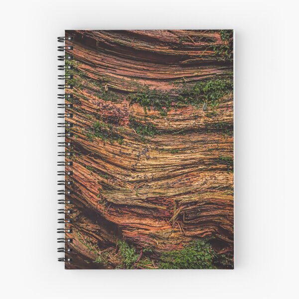 Item preview, Decaying Wood and Moss – Dark Organic Texture Abstract designed and sold by LRPhotoart.