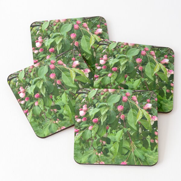 Item preview, Pink flowering tree blossoms, budding tree, cherry tree, crabapple tree  designed and sold by hollycooper.