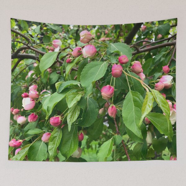 Item preview, Pink flowering tree blossoms, budding tree, cherry tree, crabapple tree  designed and sold by hollycooper.