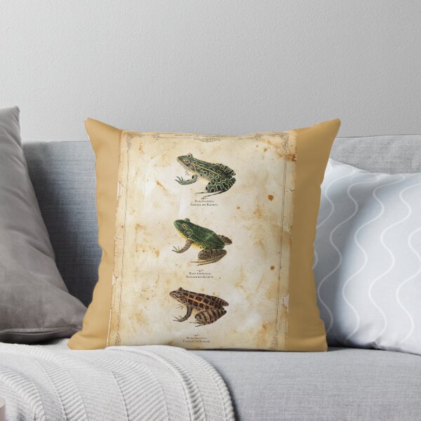 Item preview, Vintage Frog Scientific Print – Atlas of Herpetology – Antique Amphibian Poster – Rana Halecina & Palustris Art – Naturalist Wall Decor – Set of 3 Frogs Plate designed and sold by Jeeklsdotcom.